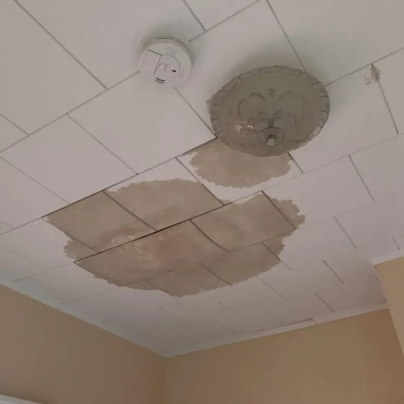 Ceiling Water Damage Repair in Jefferson County, AL