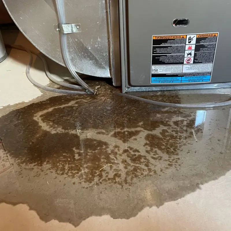 Pipe Burst and Leak Restoration in Jefferson County, AL
