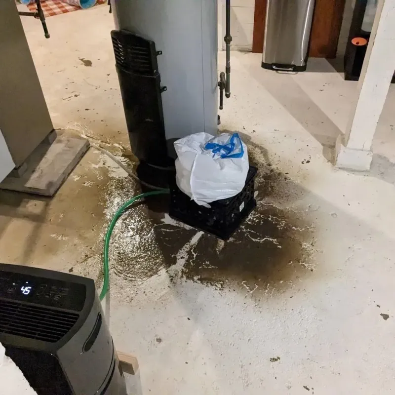 Sewage Backup Cleanup Service in Jefferson County, AL